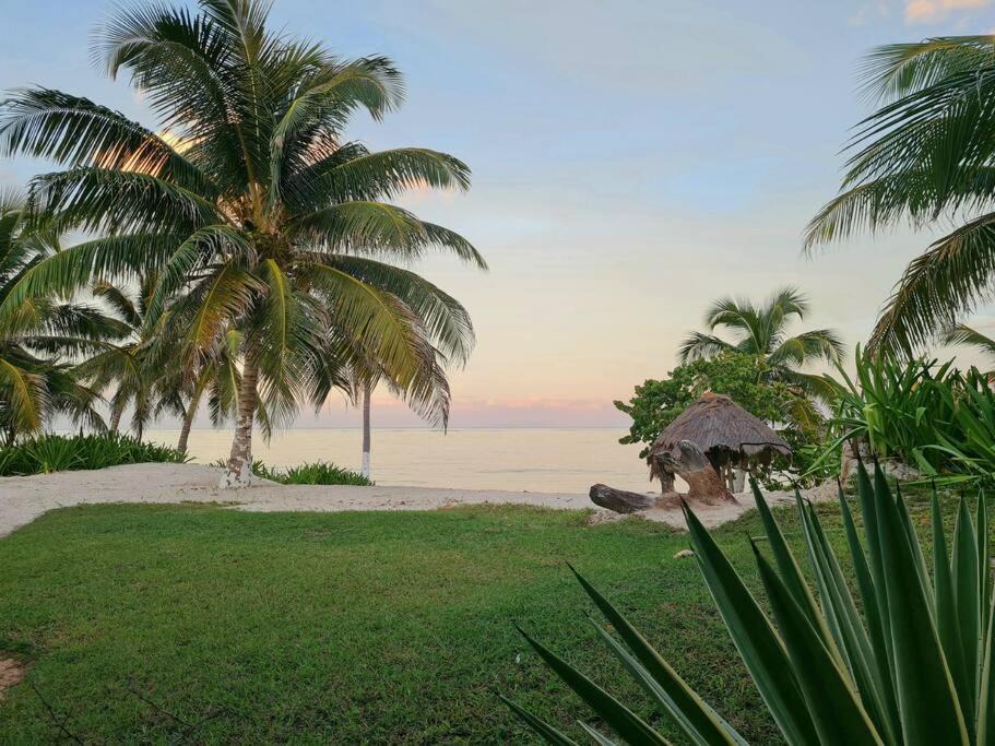 Photo of Others in Mahahual