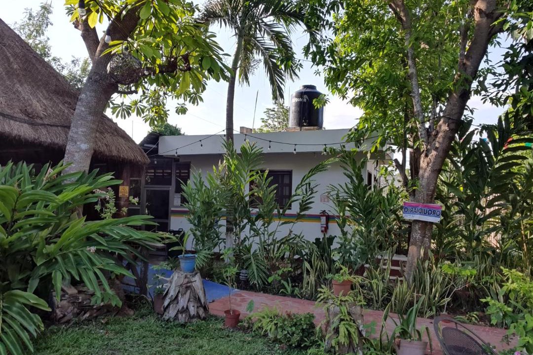 Photo of Others in Bacalar