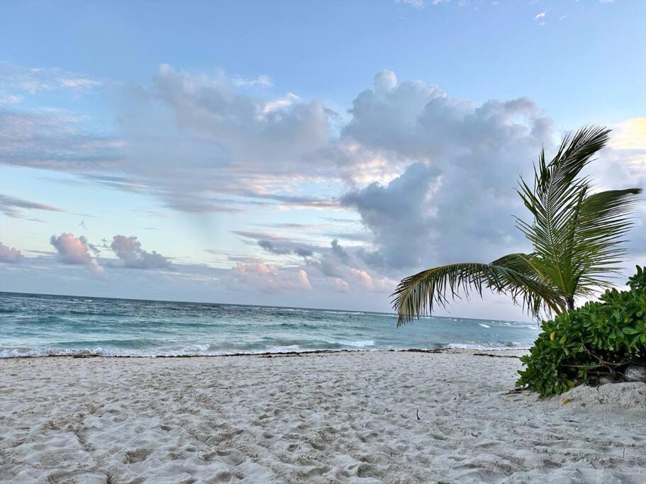 Photo of Others in Akumal