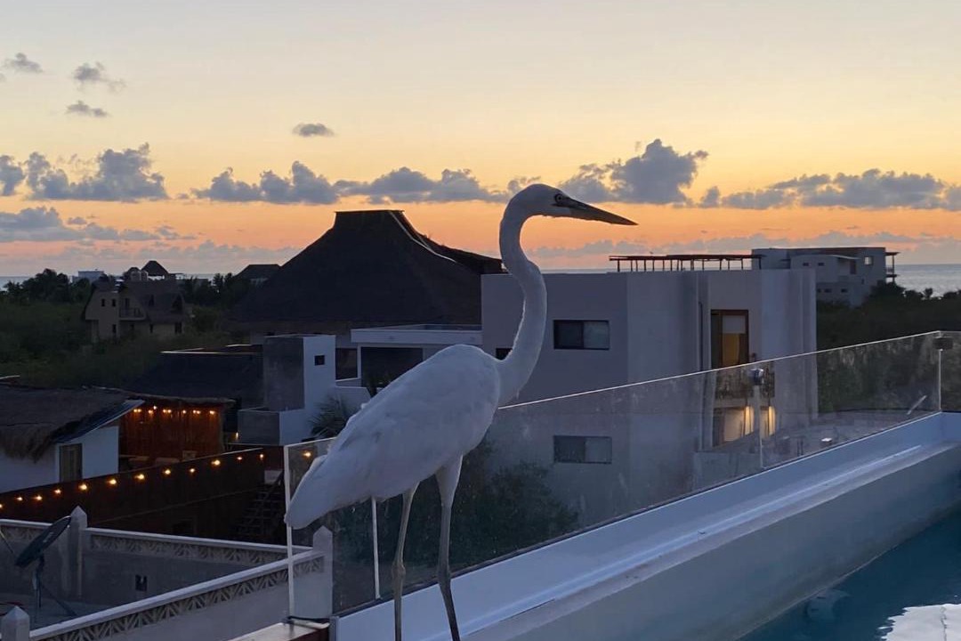Photo of Others in Isla Holbox