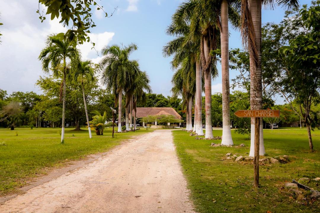 Photo of Others in Chetumal