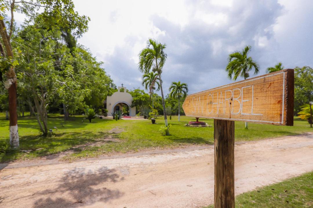 Photo of Others in Chetumal