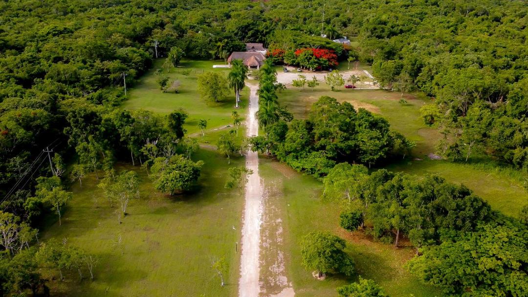 Photo of Others in Chetumal