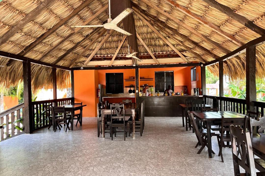 Photo of Others in Chetumal
