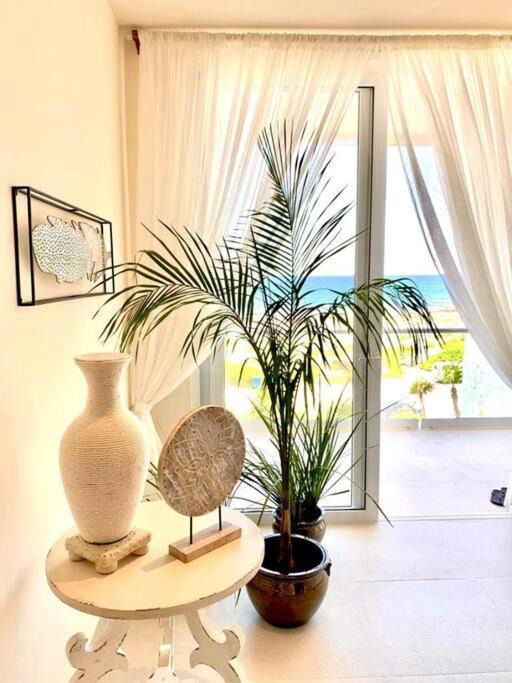 Photo of Livingroom in Akumal