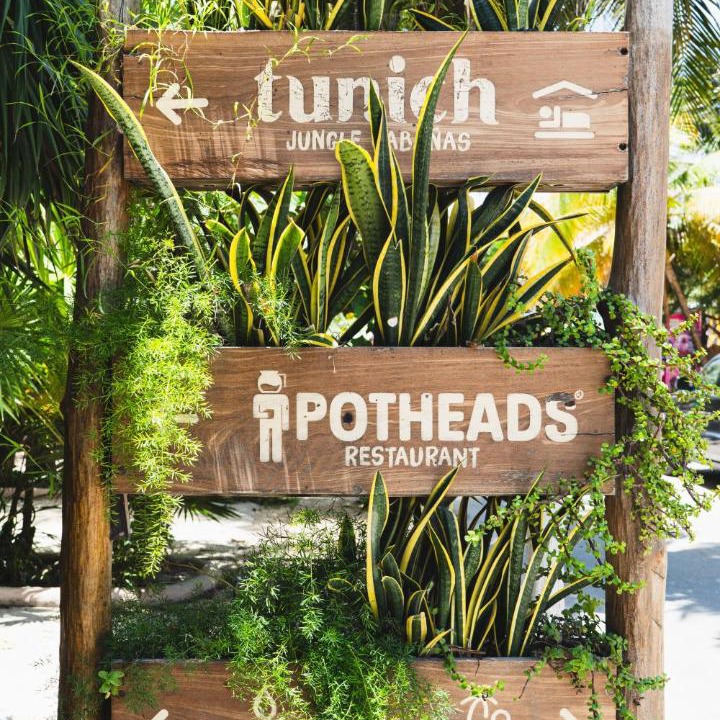 Photo of Others in Playa Paraiso