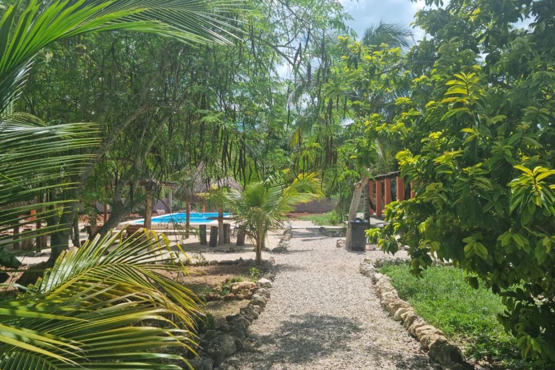 Photo of Outdoor in Chetumal