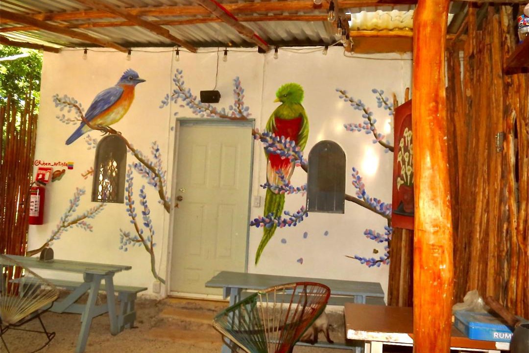 Photo of Others in Bacalar