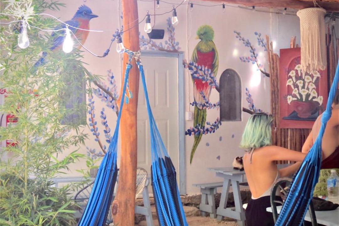 Photo of Others in Bacalar
