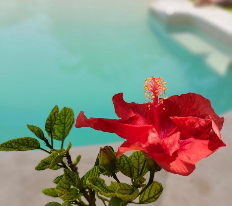 Photo of Outdoor in Bacalar