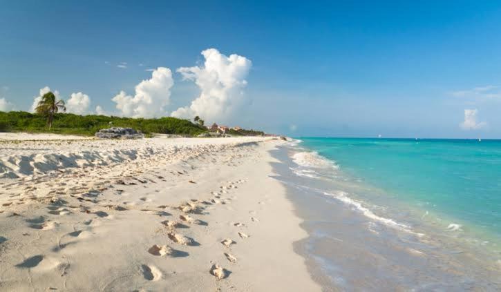 Photo of Outdoor in Playacar