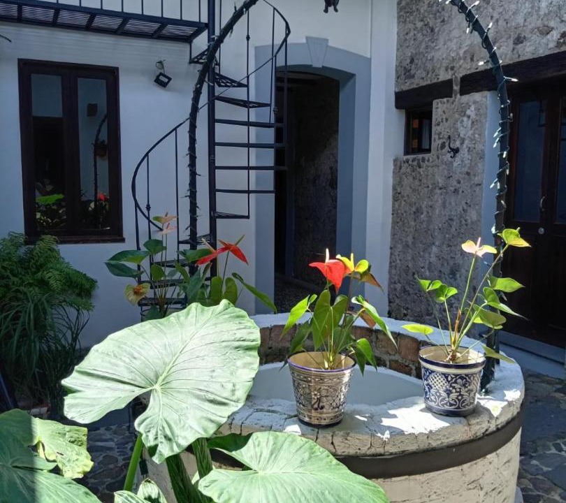 Photo of Others in Coatepec