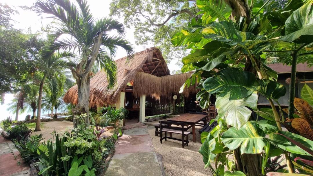 Photo of Patio Balcony in Buenavista