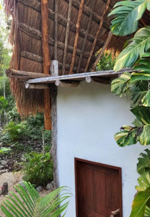 Photo of Buildings in Macario Gomez