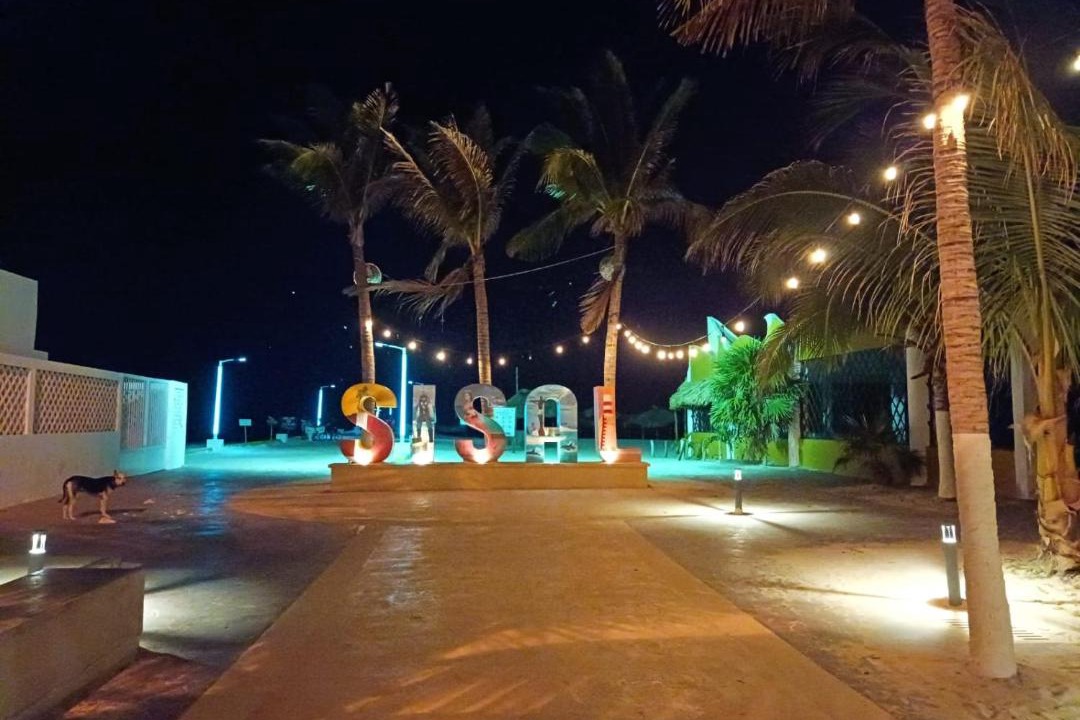 Photo of Others in Sisal