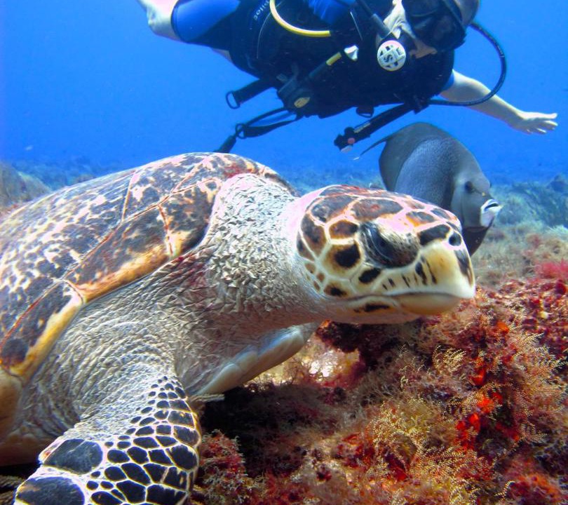 Photo of Others in Cozumel