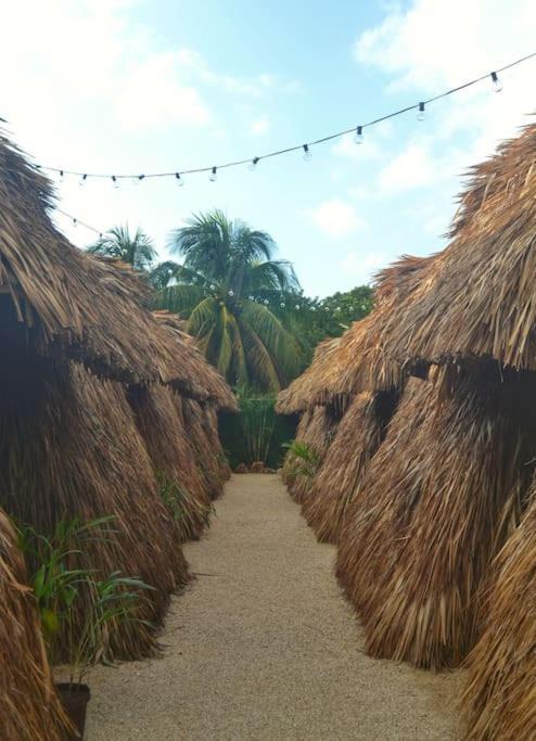 Photo of Others in Bacalar