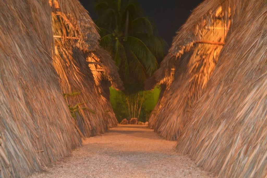 Photo of Others in Bacalar