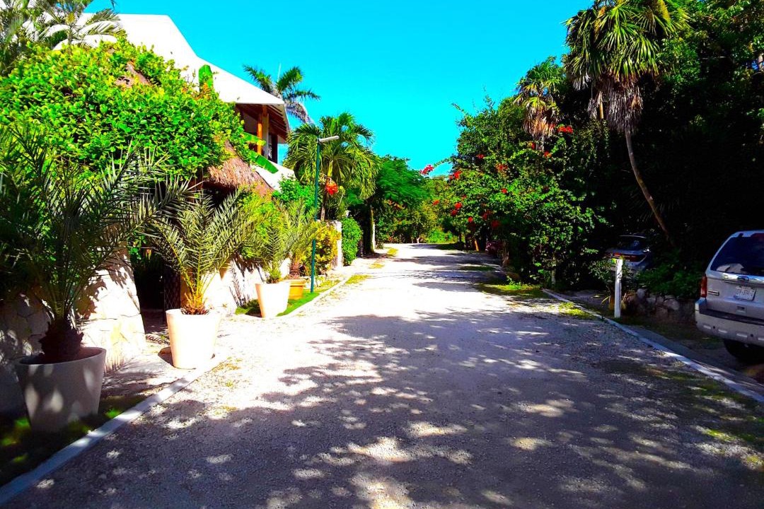 Photo of Others in Akumal