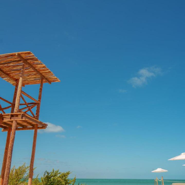 Photo of Others in Isla Holbox