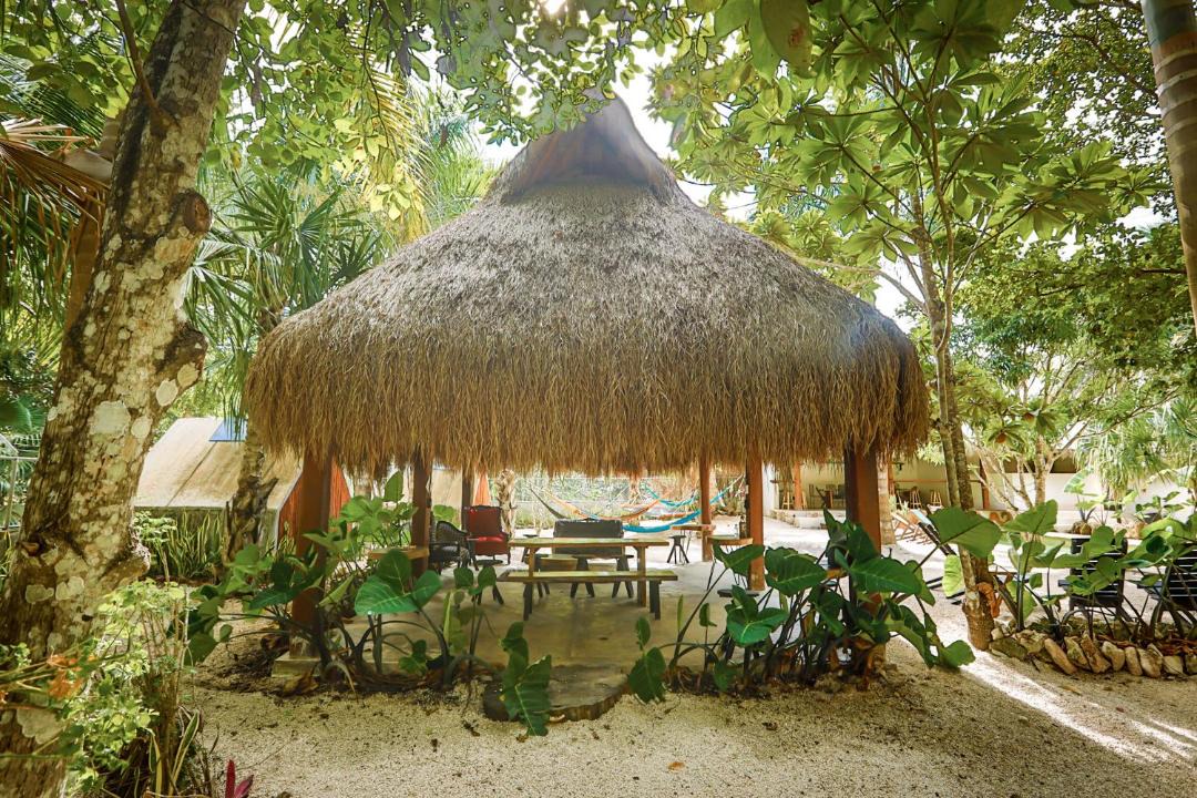 Photo of Buildings in Buenavista