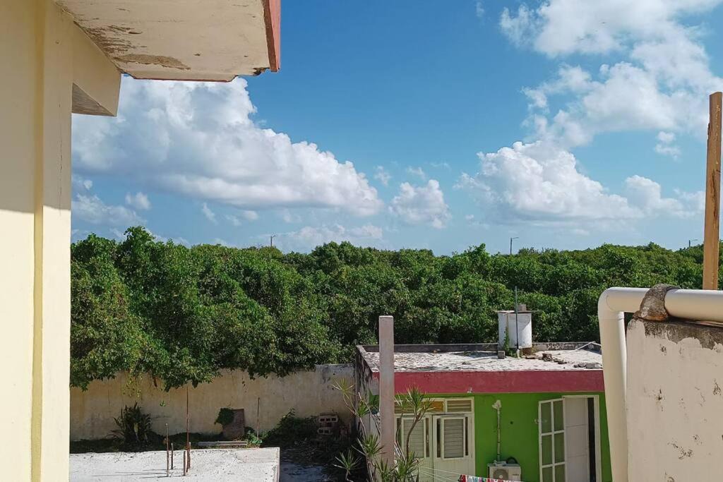 Photo of Others in Colonia Salina Chica