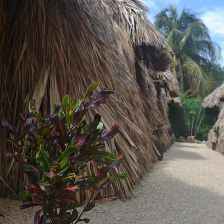 Photo of Others in Bacalar