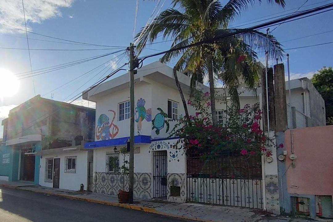 Photo of Others in Colonia Centro