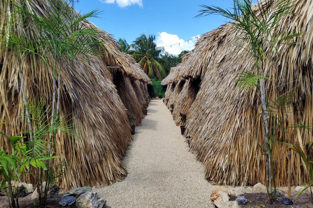 Photo of Others in Bacalar