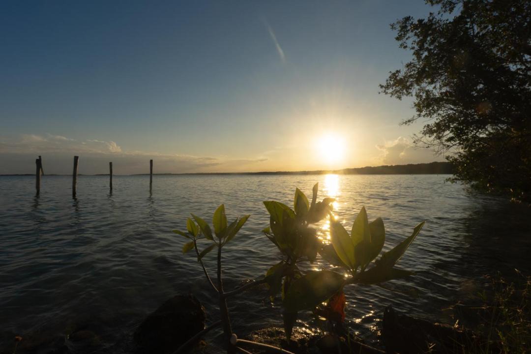Photo of Others in Bacalar