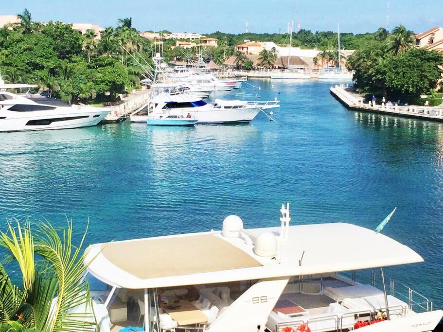 Photo of Others in Puerto Aventuras