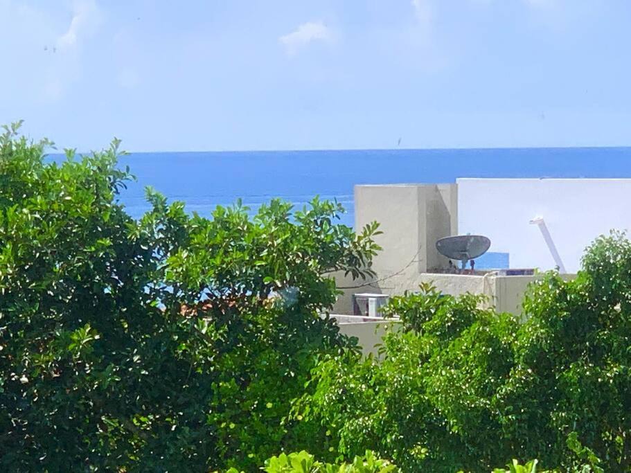 Photo of Others in Puerto Aventuras