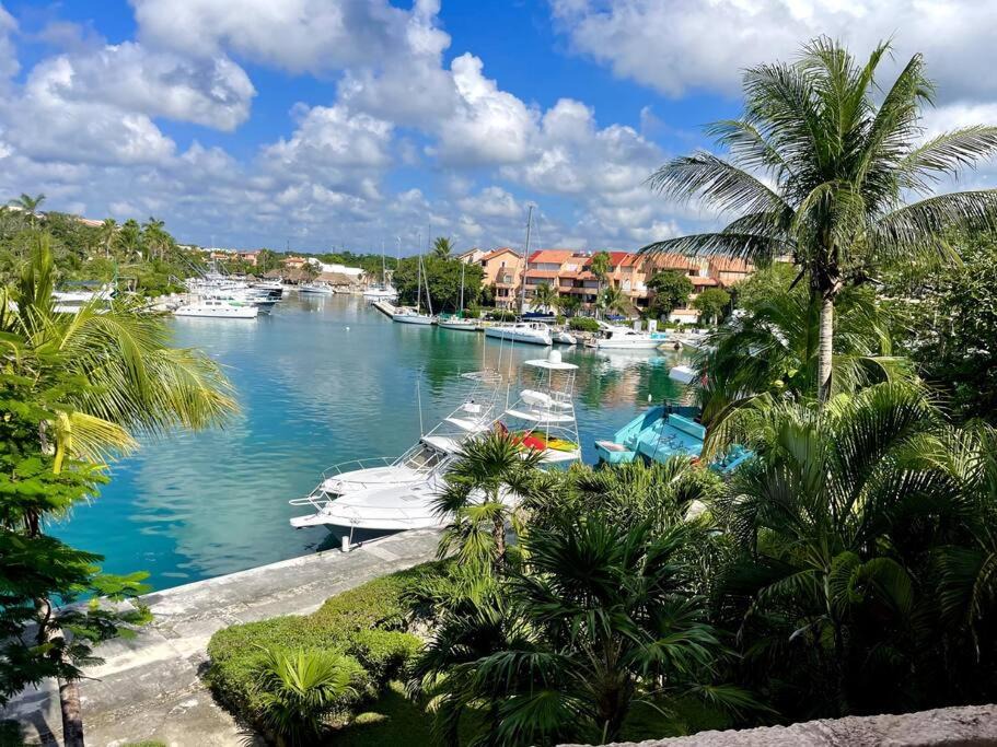 Photo of Others in Puerto Aventuras