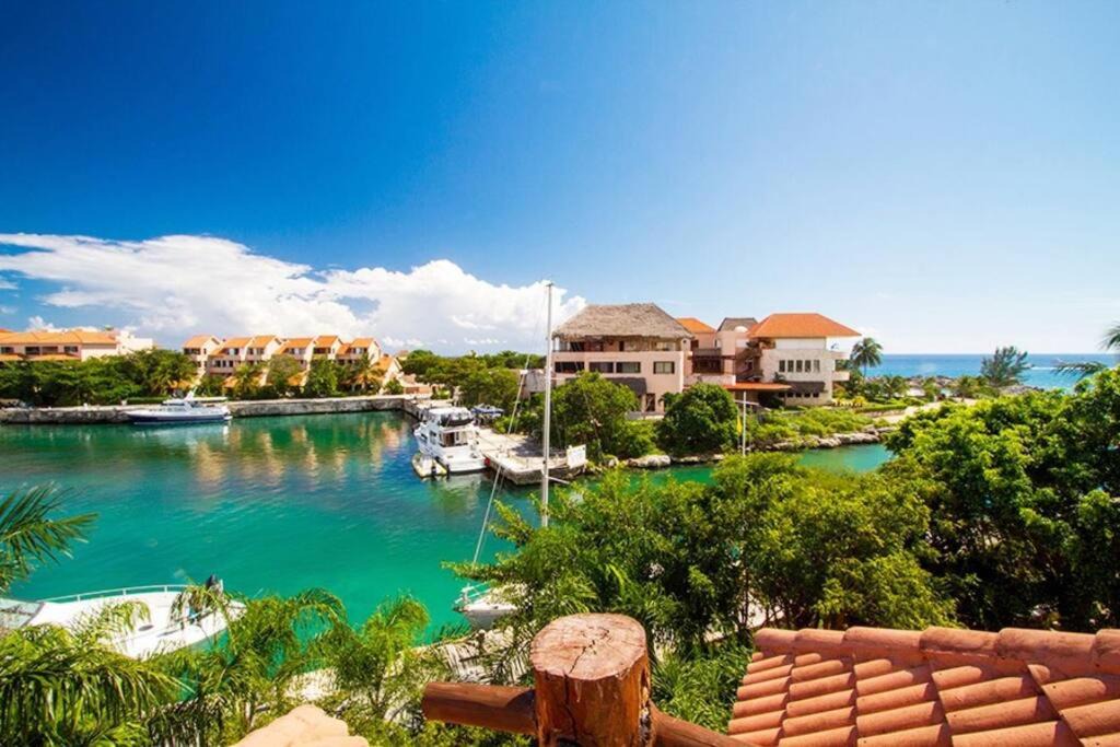 Photo of Others in Puerto Aventuras