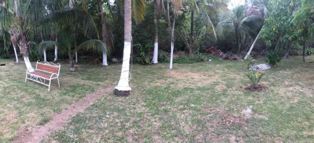 Photo of Outdoor in Puerto Juarez