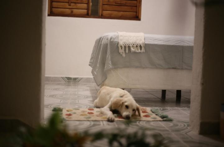 Photo of Bedroom in Bacalar