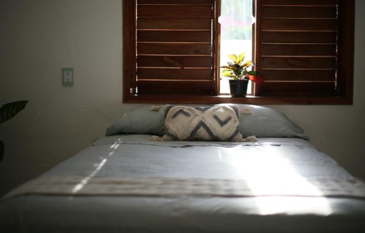 Photo of Bedroom in Bacalar