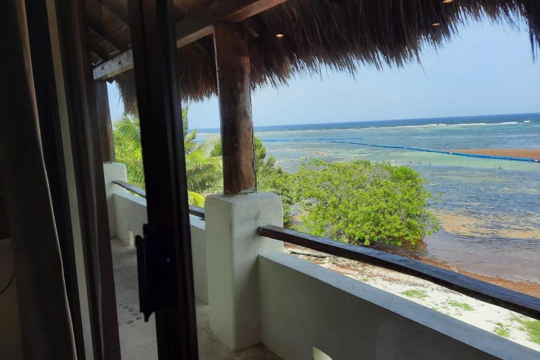 Photo of Others in Mahahual