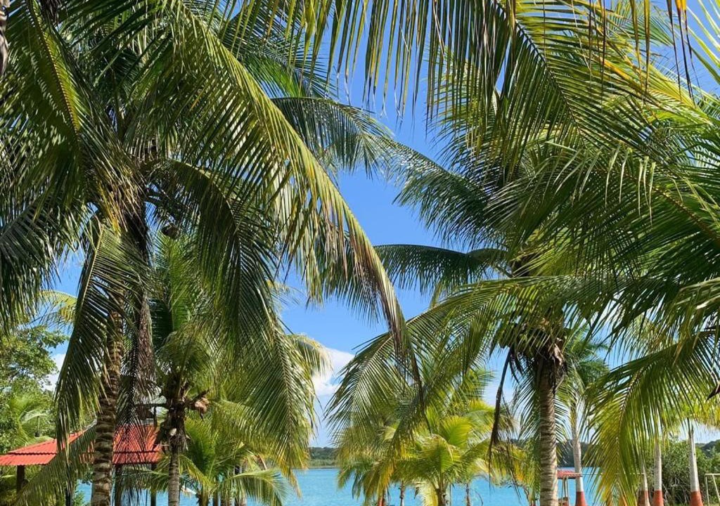 Photo of Outdoor in Othon P. Blanco