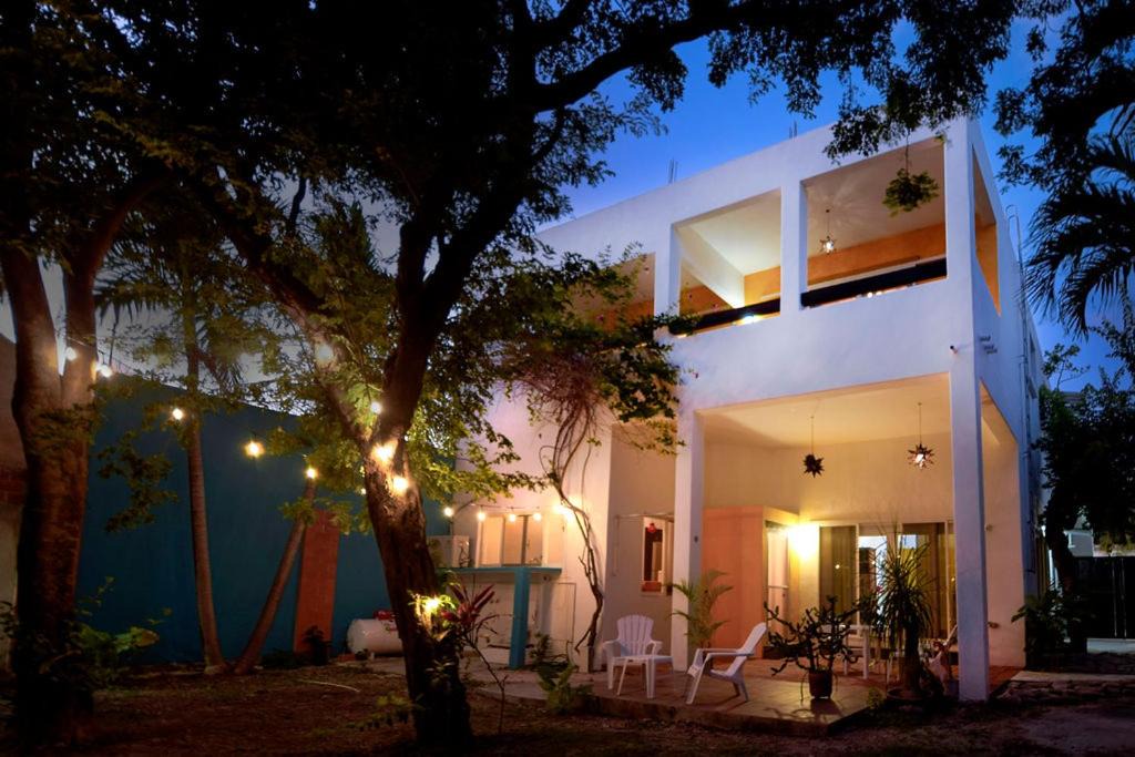 Photo of Buildings in Colonia Andres