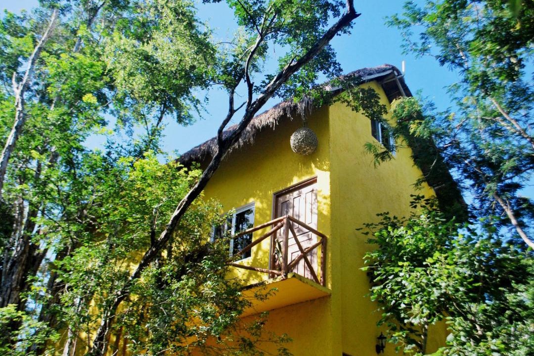 Photo of Buildings in Francisco Uh May