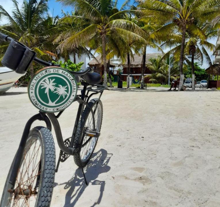 Photo of Others in Mahahual