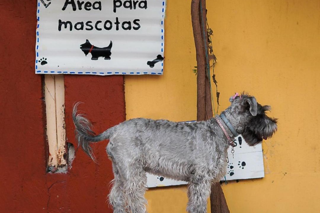Photo of Others in Tuxtla Gutierrez