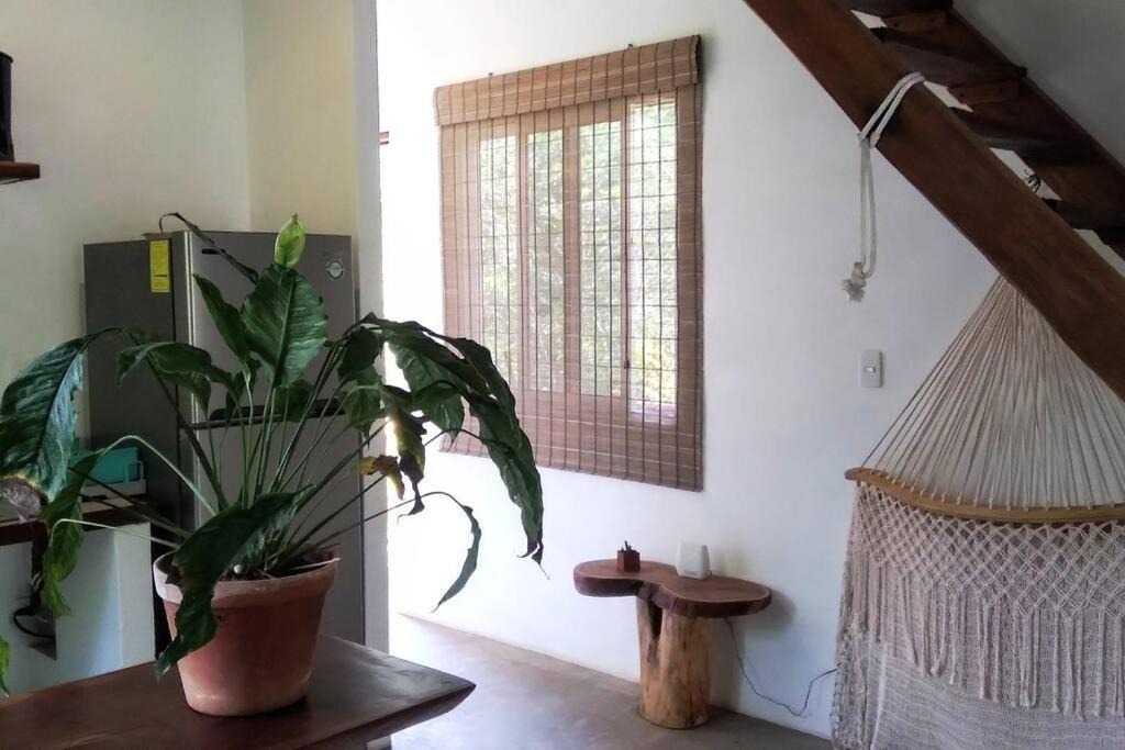 Photo of Livingroom in Francisco Uh May