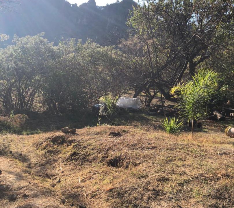 Photo of Outdoor in Amatlan
