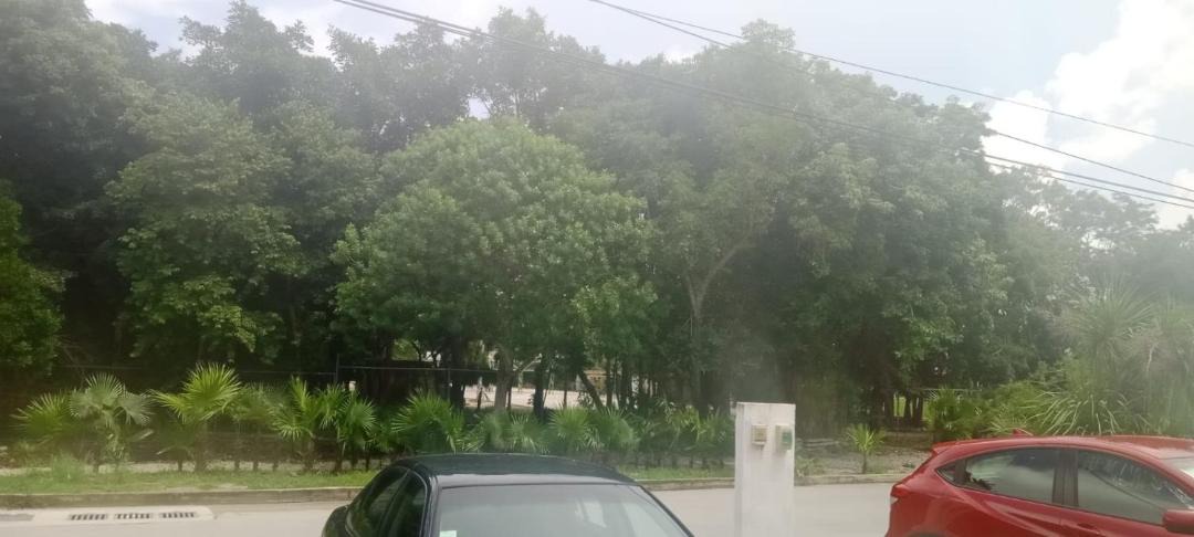 Photo of Outdoor in Puerto Morelos