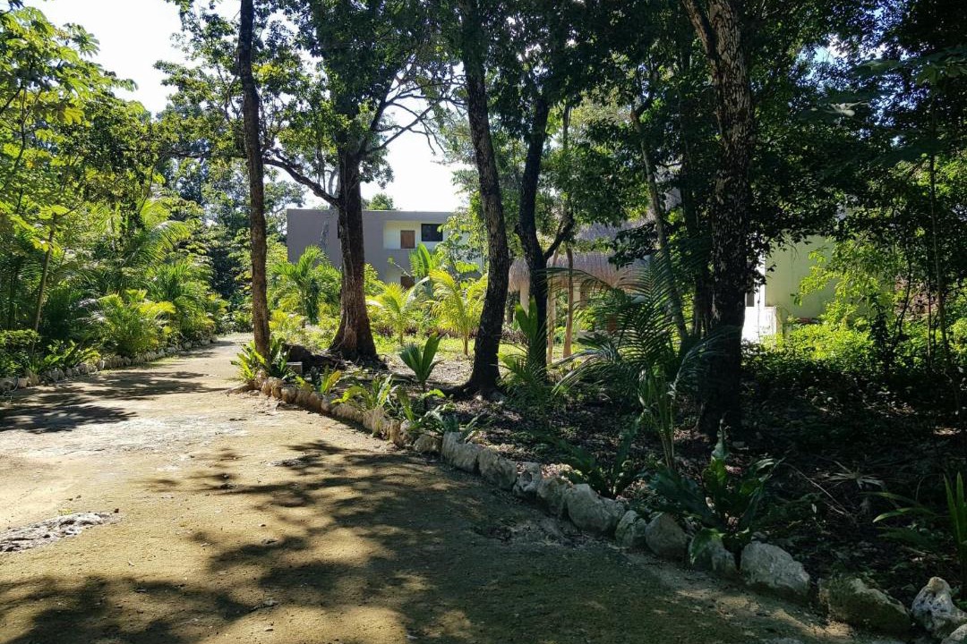 Photo of Outdoor in Akumal