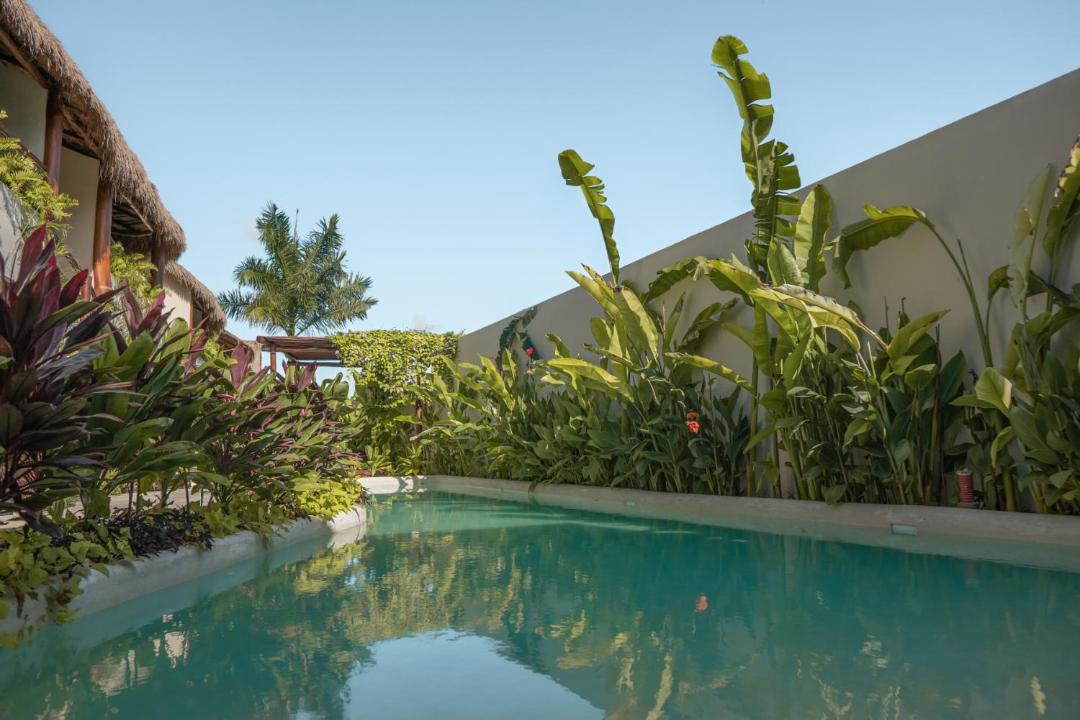 Photo of Outdoor in Bacalar