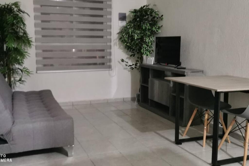 Photo of Livingroom in Tulum