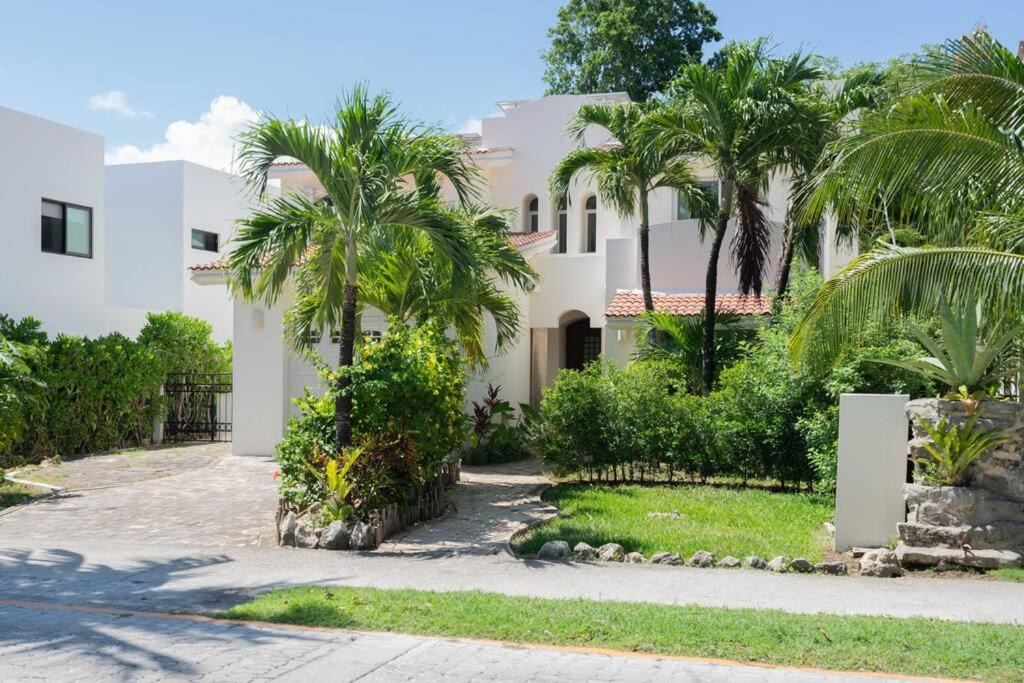 Photo of Buildings in Playacar